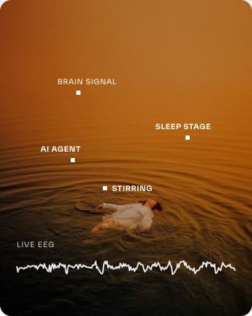 A sleeper on dark water, labelled brain signal, sleep stage and live EEG.