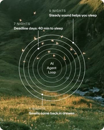 Concentric rings of the agent loop with notes from nights seven and nine.