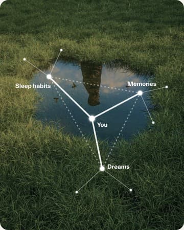 Habits, memories and dreams drawn as one connected map.