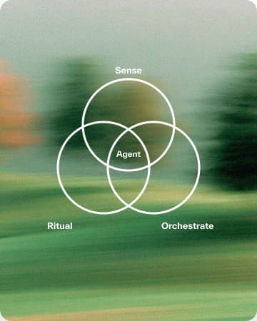 Three overlapping rings: sense, ritual, orchestrate, with the agent at the centre.